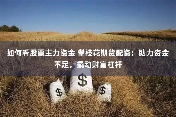 如何看股票主力资金 攀枝花期货配资：助力资金不足，撬动财富杠杆